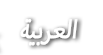 Language version label